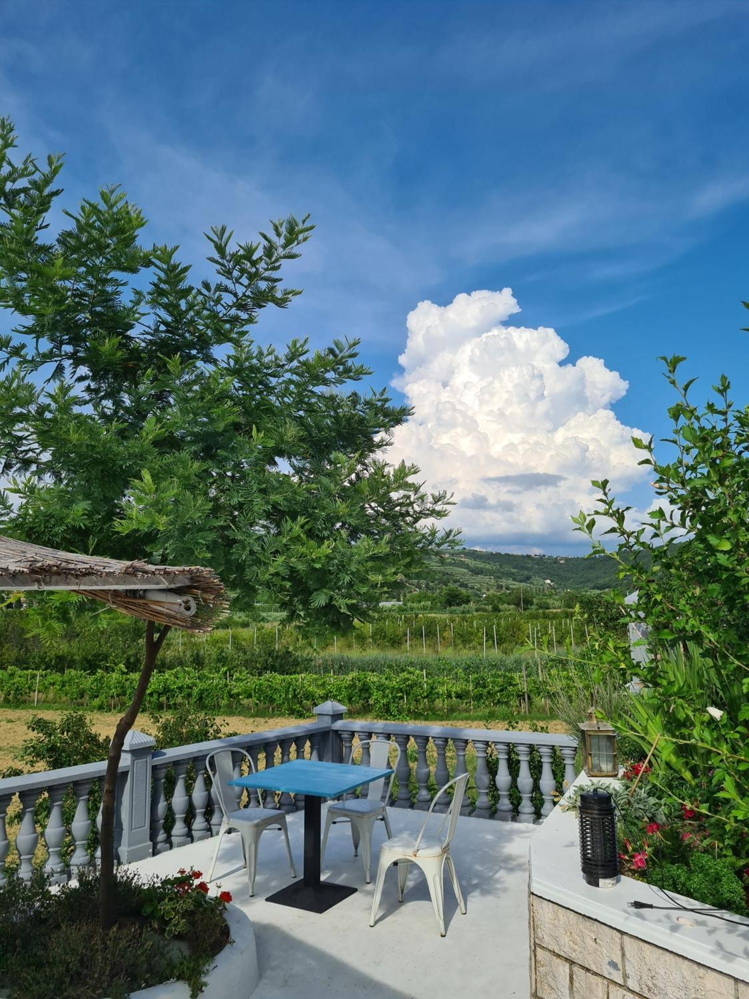 Guesthouse Sole Secovlje Exterior photo